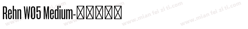 Rehn W05 Medium字体转换
